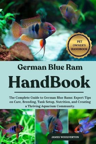 German blue ram - blue,