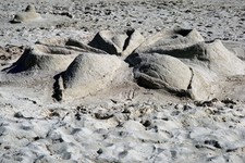 798027 Flower Shaped In Coral Sand A4 Photo Print