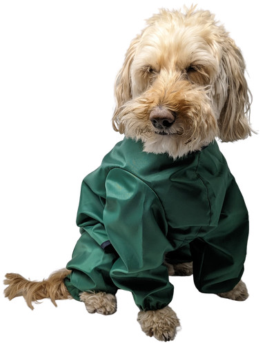 Doggie coats trouser suit - trouser,