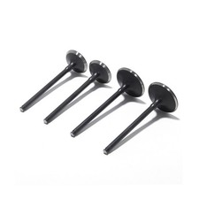 4Pcs Intake Valves & Exhaust
