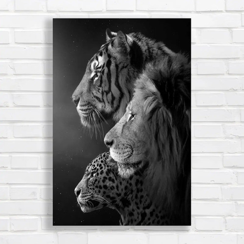 Majestic big cats black white - cats,