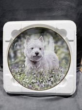 Danbury Mint By Paul Doyle