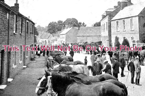 1269 bampton horse fair - ox,