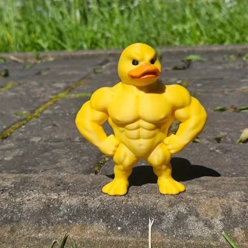 Muscle duck statue funny - muscle,