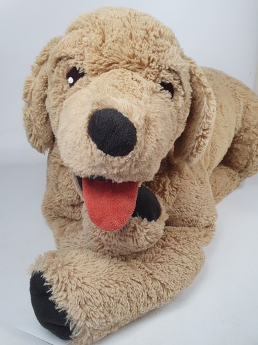 Ikea golden retriever - retriever, dog