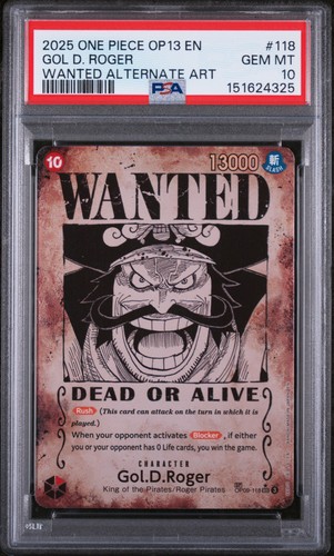 One piece gol roger - one,