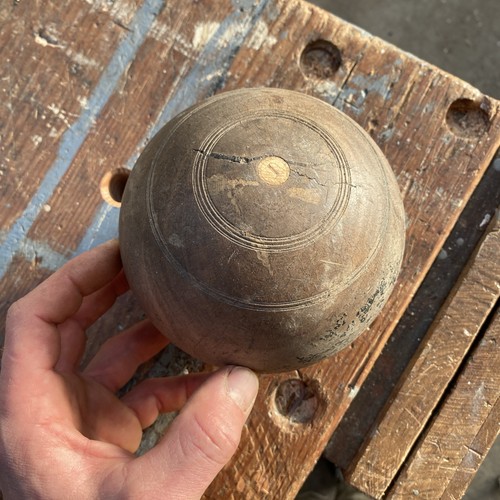 Lignum vitae lawn - vitae, bowl