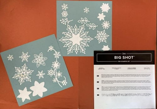 Limited edition stampin - edition, up