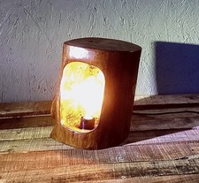 Hollowed Tree Trunk Lamp