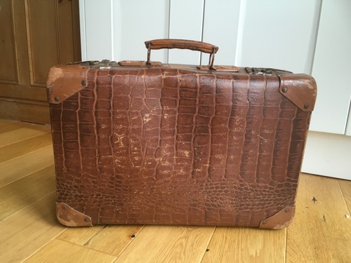 Antique crocodile skin - crocodile,