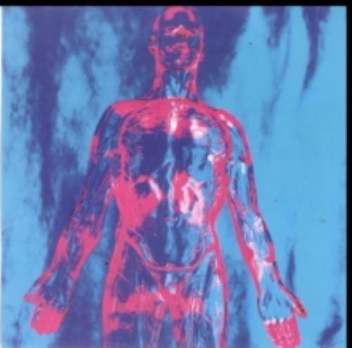 Nirvana sliver 7 vinyl - nirvana:,