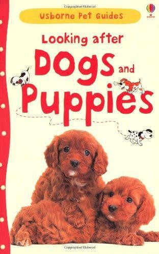 guide dog puppies