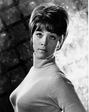 Linda Thorson Avengers 10" x