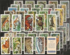 Brooke bond full set - bond, set-