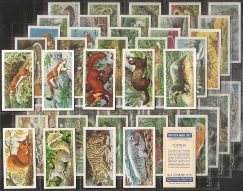 Brooke bond full set - (tea)-full, set-