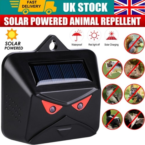 Solar animal repellent - animal,