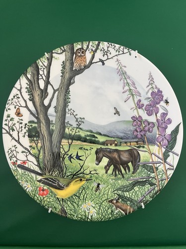Wedgwood collectors plate - wedgwood,