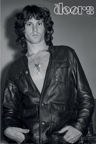 The doors jim morrison - the,