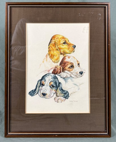 Spaniel puppies watercolour - puppies,