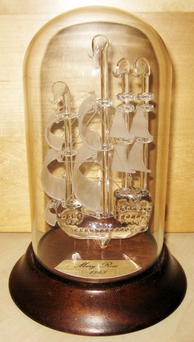 Mary rose blown - rose,