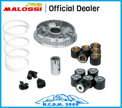 Malossi variator multivar 2000 - malossi,