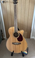 Freshman Faigam Electro-acoustic Guitar