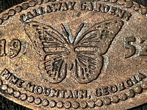 1952 callaway gardens pine - 1952,