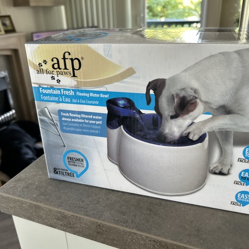 Dogs water bowl - water, bowl,