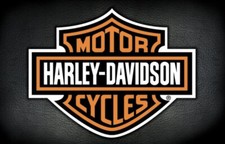 Harley Davidson Aerosol 400ml Pick Your Colour  