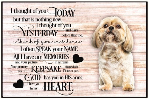 Shih tzu rip gift magnet - shih,
