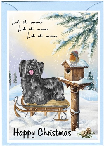 Skye terrier dog christmas - dog,