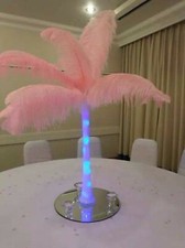 10 Large Ostrich Feathers in