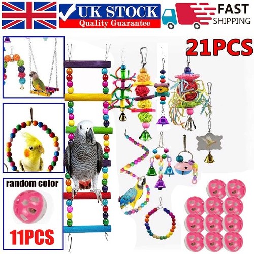 Parrot toys set new pack - parrot, 21