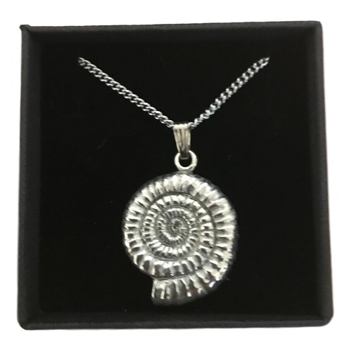 Ammonite fossil pendant - ammonite, in