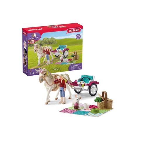 Horse club pony - horse,