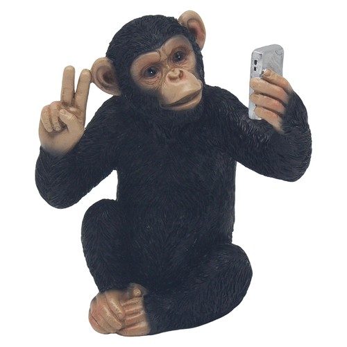 Cheeky monkey selfie decor - monkey,