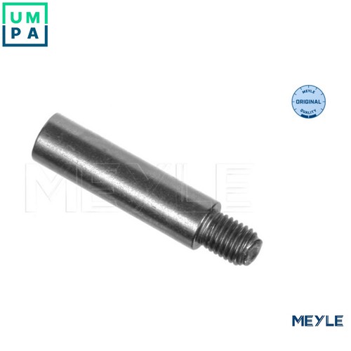 Guide bolt brake caliper - brake, 100