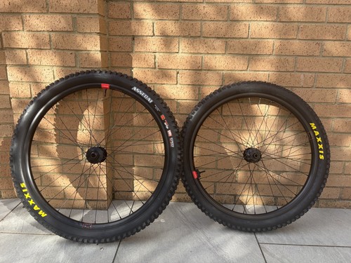 santa cruz v10