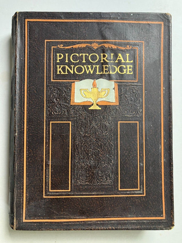 Newness pictorial knowledge - pictorial,