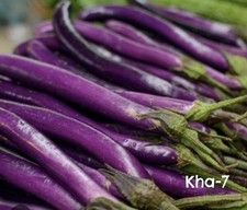 Indian Bangladeshi Sinath