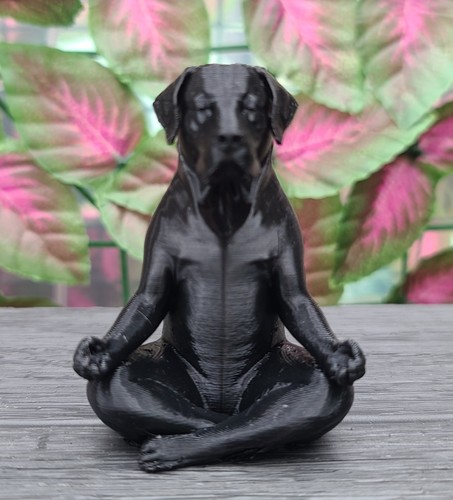 Zen dog figure printed - dog,