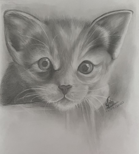 Custom pet original pencil - custom,