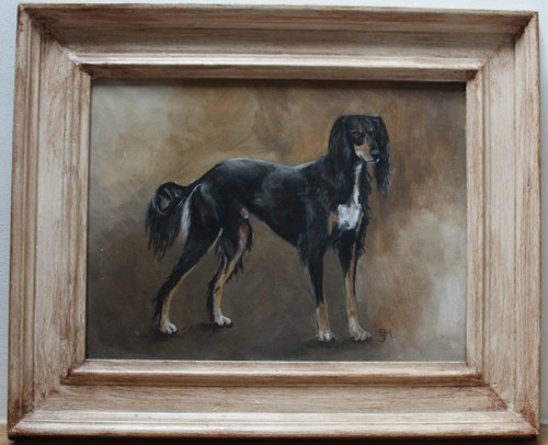 Saluki hound dog portrait - saluki,