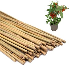 50PCS Plant Stakes,16 Inch
