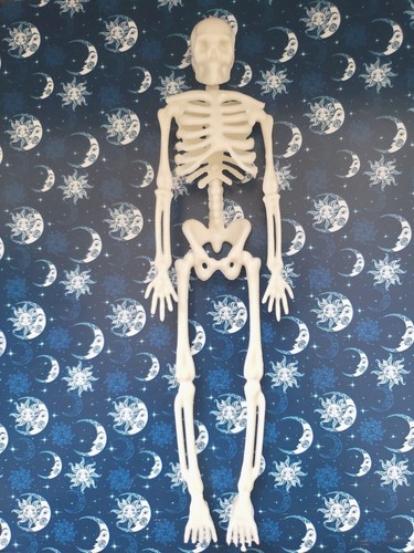 White skeleton 12th scale - white,