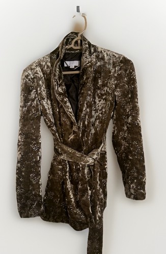 Zara metallic thread velvet - zara,