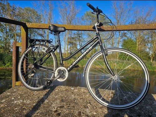 Ammaco cosmopolitan - ammaco, 19"