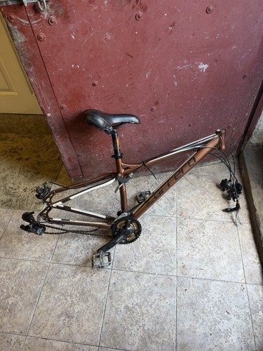 Carrera sulcata frame