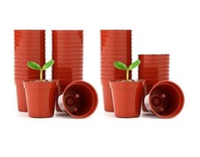 50 Pack Mini Plastic Plant