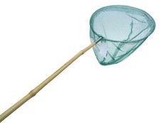 Fishing Net Mesh Insect